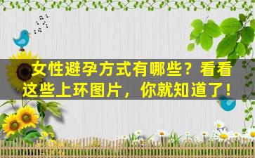 女性避孕方式有哪些？看看这些上环图片，你就知道了！