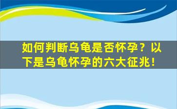 如何判断乌龟是否怀孕？以下是乌龟怀孕的六大征兆！