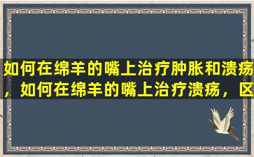 如何在绵羊的嘴上治疗肿胀和溃疡，如何在绵羊的嘴上治疗溃疡，区分原因然后治疗