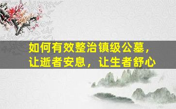 如何有效整治镇级公墓，让逝者安息，让生者舒心