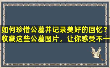 如何珍惜公墓并记录美好的回忆？收藏这些公墓图片，让你感受不一样的生死之美