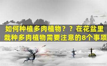 如何种植多肉植物？？在花盆里栽种多肉植物需要注意的8个事项
