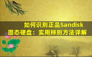 如何识别正品Sandisk固态硬盘：实用辨别方法详解