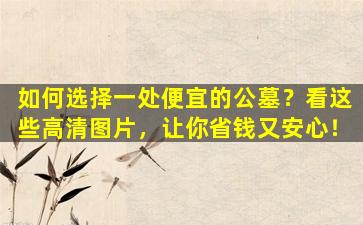 如何选择一处便宜的公墓？看这些高清图片，让你省钱又安心！