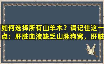 如何选择所有山羊木？请记住这一点：肝脏血液缺乏山脉狗窝，肝脏和胃冷