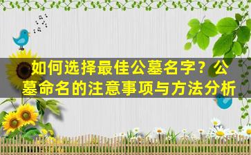 如何选择最佳公墓名字？公墓命名的注意事项与方法分析