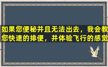 如果您便秘并且无法出去，我会教您快速的排便，并体验飞行的感觉！呢呢