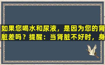 如果您喝水和尿液，是因为您的肾脏差吗？提醒：当肾脏不好时，身体将有这5个主要症状