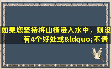 如果您坚持将山楂浸入水中，则没有4个好处或“不请自来”的人，他们不建立这两种类型的人.