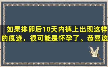 如果排卵后10天内裤上出现这样的痕迹，很可能是怀孕了。恭喜这位准妈妈。
