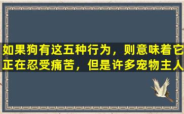 如果狗有这五种行为，则意味着它正在忍受痛苦，但是许多宠物主人认为这是宠坏的！