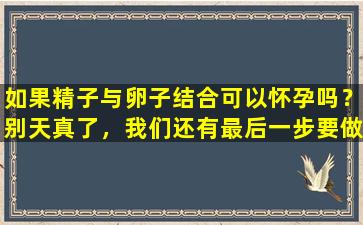 如果精子与卵子结合可以怀孕吗？别天真了，我们还有最后一步要做。