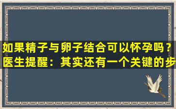 如果精子与卵子结合可以怀孕吗？医生提醒：其实还有一个关键的步骤！