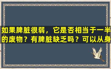 如果脾脏很弱，它是否相当于一半的废物？有脾脏缺乏吗？可以从身体的四个部分中看到吗？是认真的吗？
