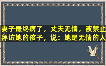 妻子最终病了，丈夫无情，被禁止拜访她的孩子，说：她是无情的人