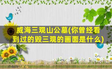 威海三观山公墓(你曾经看到过的毁三观的画面是什么)