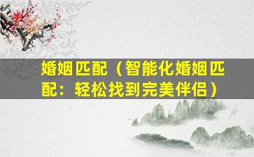 婚姻匹配（智能化婚姻匹配：轻松找到完美伴侣）