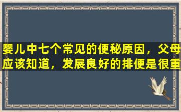 婴儿中七个常见的便秘原因，父母应该知道，发展良好的排便是很重要的。