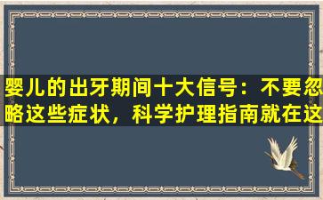 婴儿的出牙期间十大信号：不要忽略这些症状，科学护理指南就在这里！