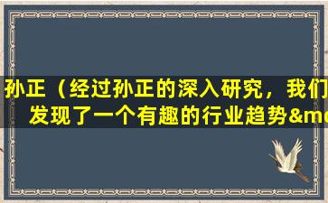 孙正（经过孙正的深入研究，我们发现了一个有趣的行业趋势——人工智能在教育领域的应用与创新）