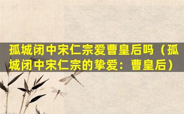 孤城闭中宋仁宗爱曹皇后吗（孤城闭中宋仁宗的挚爱：曹皇后）