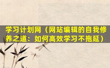 学习计划网（网站编辑的自我修养之道：如何高效学习不拖延）