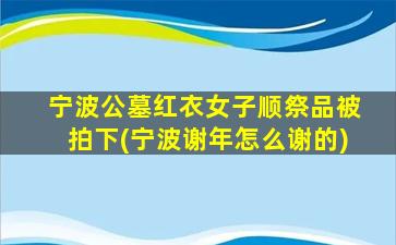 宁波公墓红衣女子顺祭品被拍下(宁波谢年怎么谢的)