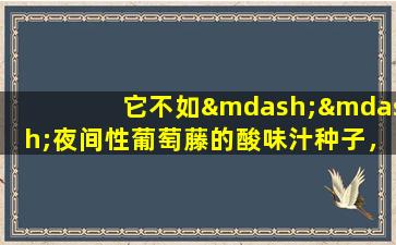 它不如——夜间性葡萄藤的酸味汁种子，用于失眠，将阳带入阳，滋养血液，使心灵平静。