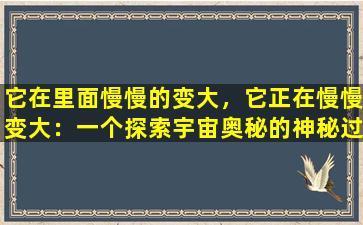 它在里面慢慢的变大，它正在慢慢变大：一个探索宇宙奥秘的神秘过程