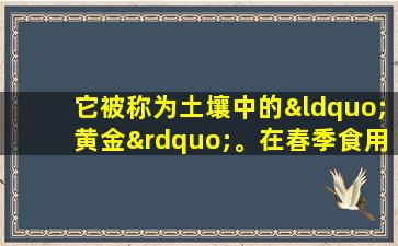 它被称为土壤中的“黄金”。在春季食用更多，使脾脏和胃会感到舒适，免疫力将得到改善。