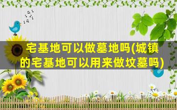 宅基地可以做墓地吗(城镇的宅基地可以用来做坟墓吗)