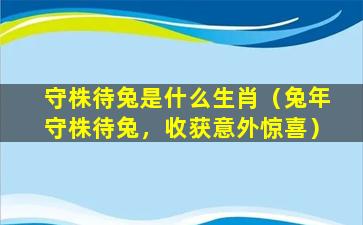 守株待兔是什么生肖（兔年守株待兔，收获意外惊喜）