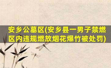 安乡公墓区(安乡县一男子禁燃区内违规燃放烟花爆竹被处罚)
