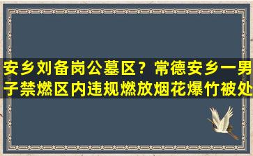 安乡刘备岗公墓区？常德安乡一男子禁燃区内违规燃放烟花爆竹被处罚