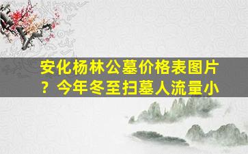 安化杨林公墓价格表图片？今年冬至扫墓人流量小