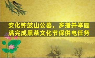 安化钟鼓山公墓，多措并举圆满完成黑茶文化节保供电任务