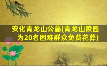 安化青龙山公墓(青龙山陵园为20名困难群众免费花葬)