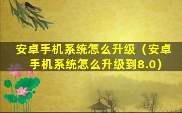 安卓手机系统怎么升级（安卓手机系统怎么升级到8.0）