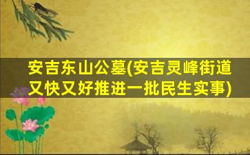 安吉东山公墓(安吉灵峰街道又快又好推进一批民生实事)