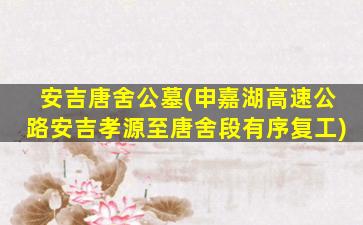 安吉唐舍公墓(申嘉湖高速公路安吉孝源至唐舍段有序复工)