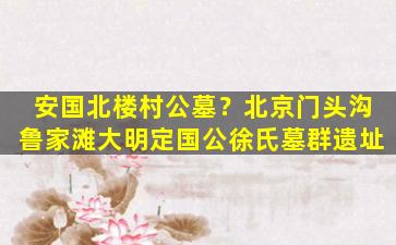 安国北楼村公墓？北京门头沟鲁家滩大明定国公徐氏墓群遗址