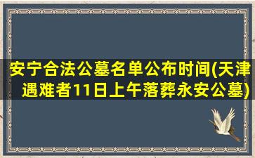 安宁合法公墓名单公布时间(天津遇难者11日上午落葬永安公墓)