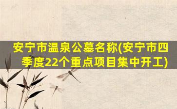 安宁市温泉公墓名称(安宁市四季度22个重点项目集中开工)