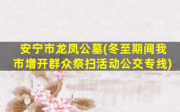安宁市龙凤公墓(冬至期间我市增开群众祭扫活动公交专线)