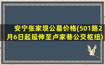 安宁张家坝公墓价格(501路2月6日起延伸至卢家巷公交枢纽)