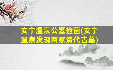 安宁温泉公墓捡菌(安宁温泉发现两冢清代古墓)
