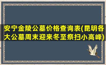 安宁金陵公墓价格查询表(昆明各大公墓周末迎来冬至祭扫小高峰)