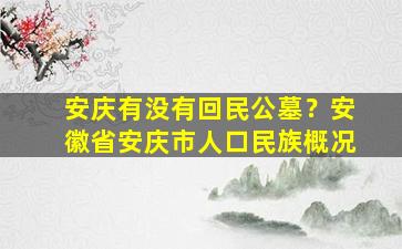 安庆有没有回民公墓？安徽省安庆市人口民族概况