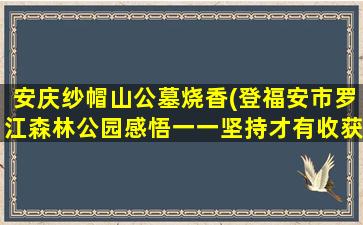 安庆纱帽山公墓烧香(登福安市罗江森林公园感悟一一坚持才有收获)
