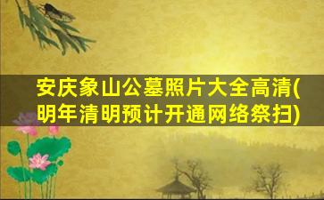 安庆象山公墓照片大全高清(明年清明预计开通网络祭扫)